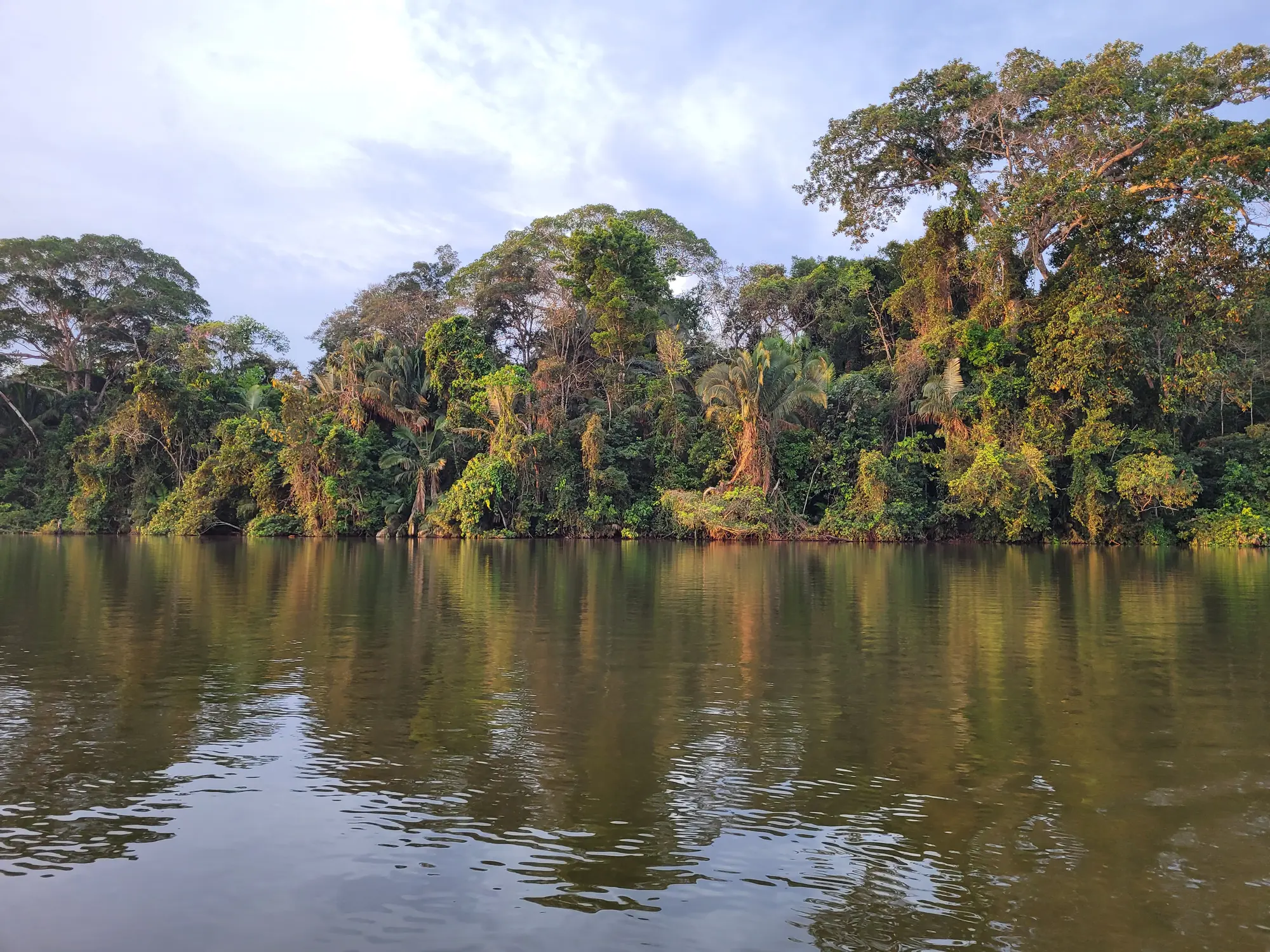 River and rainforest near Puerto Maldonado