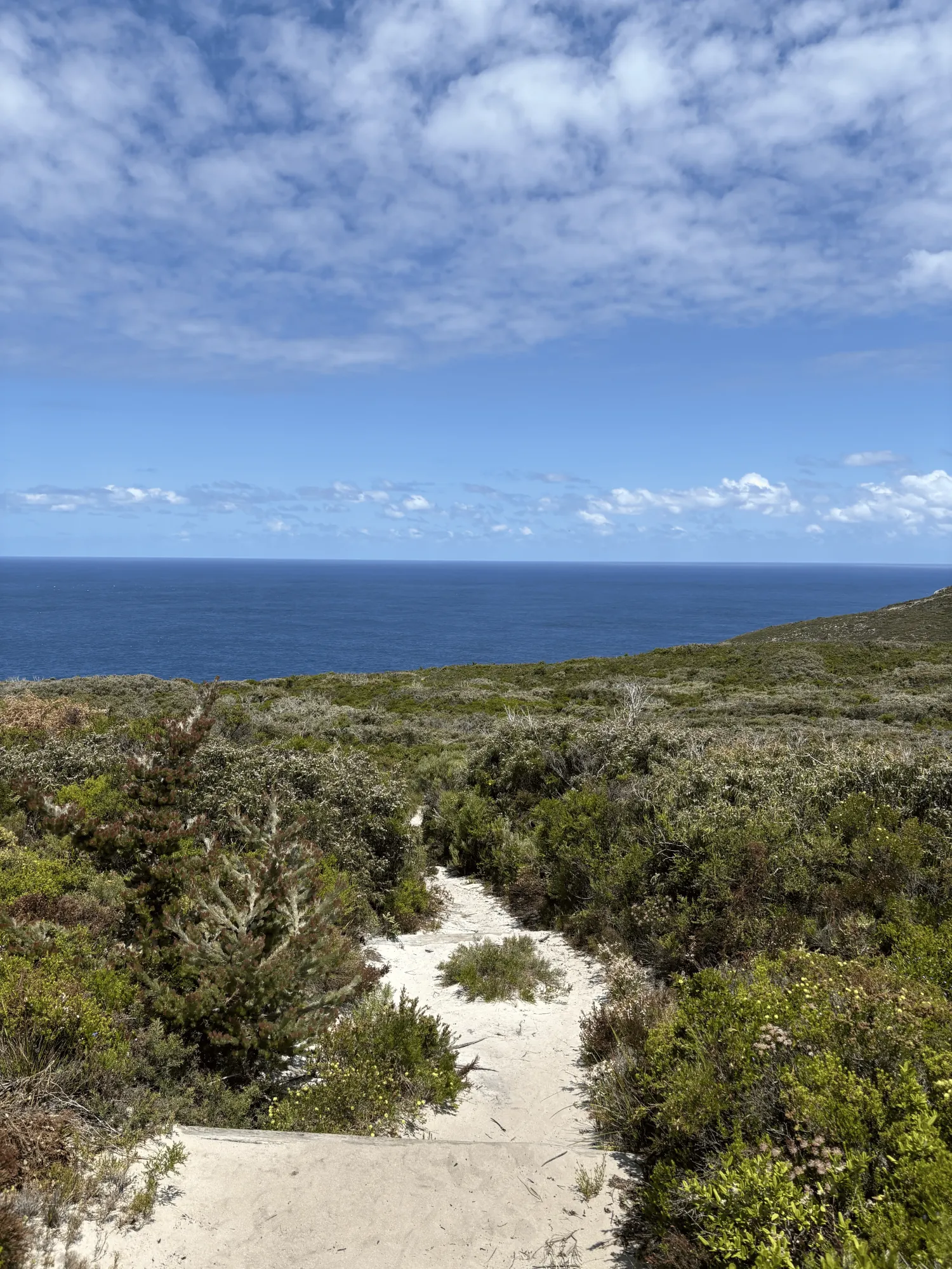 Bald Head hike