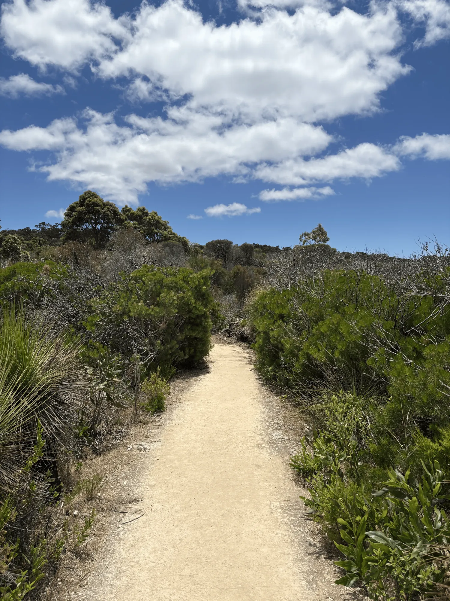 Trail to Castle Rock Bay