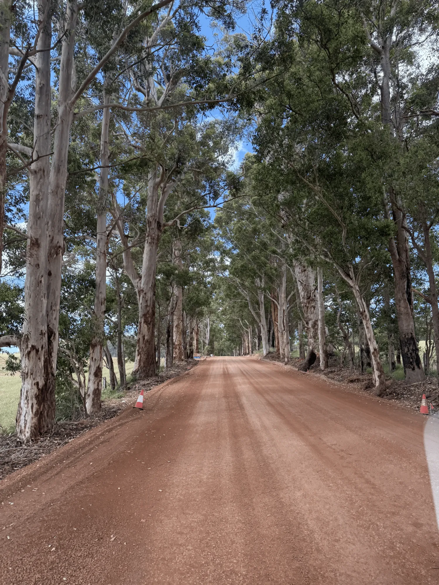 Road through the south-west
