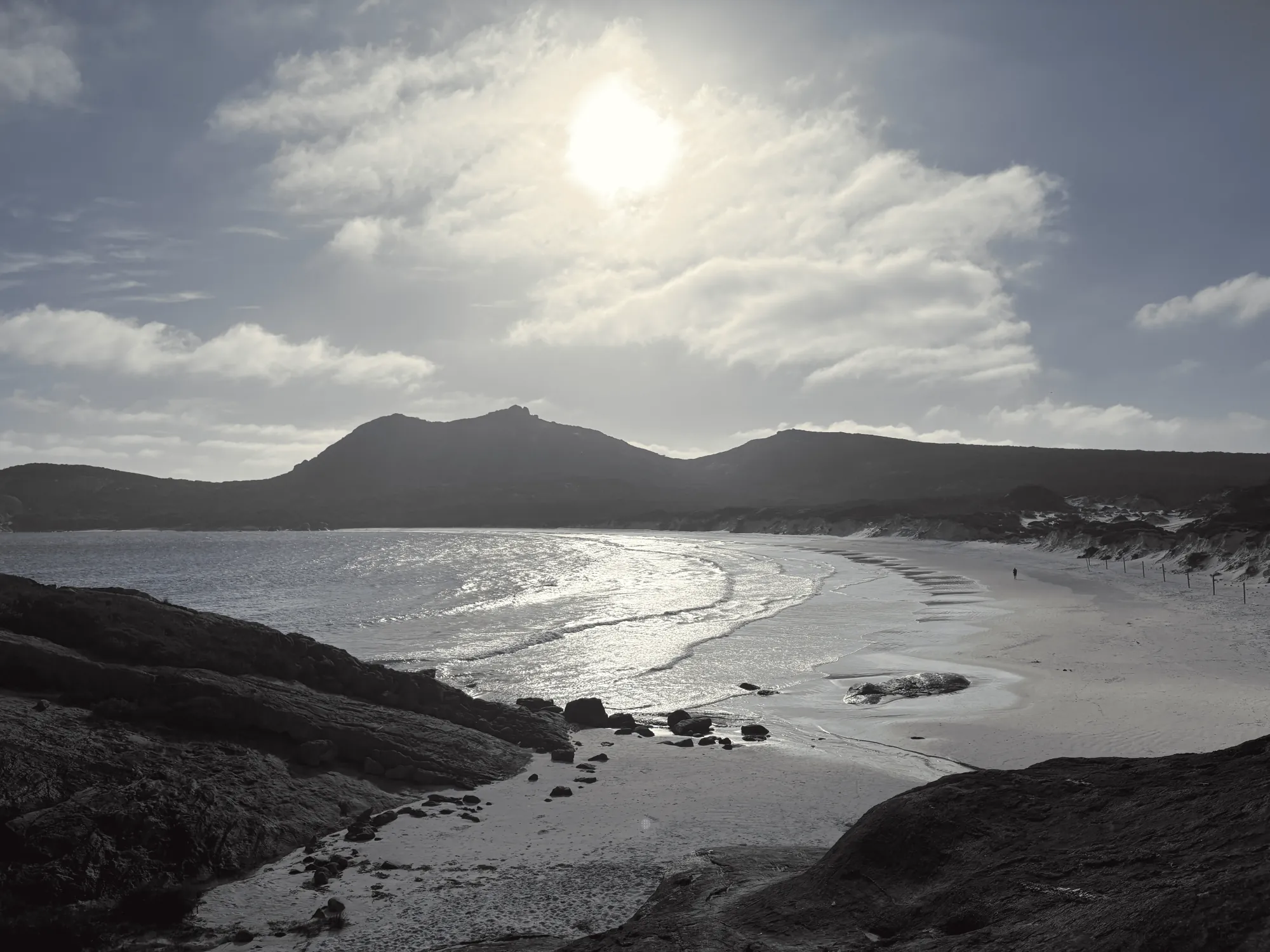 Thistle Cove