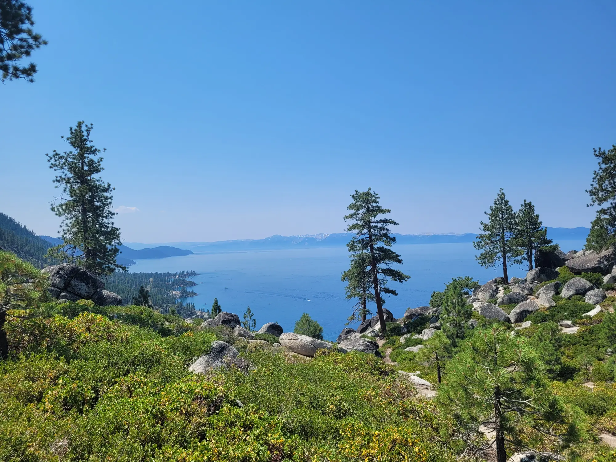 Lake Tahoe shoreline with pine trees and clear blue water