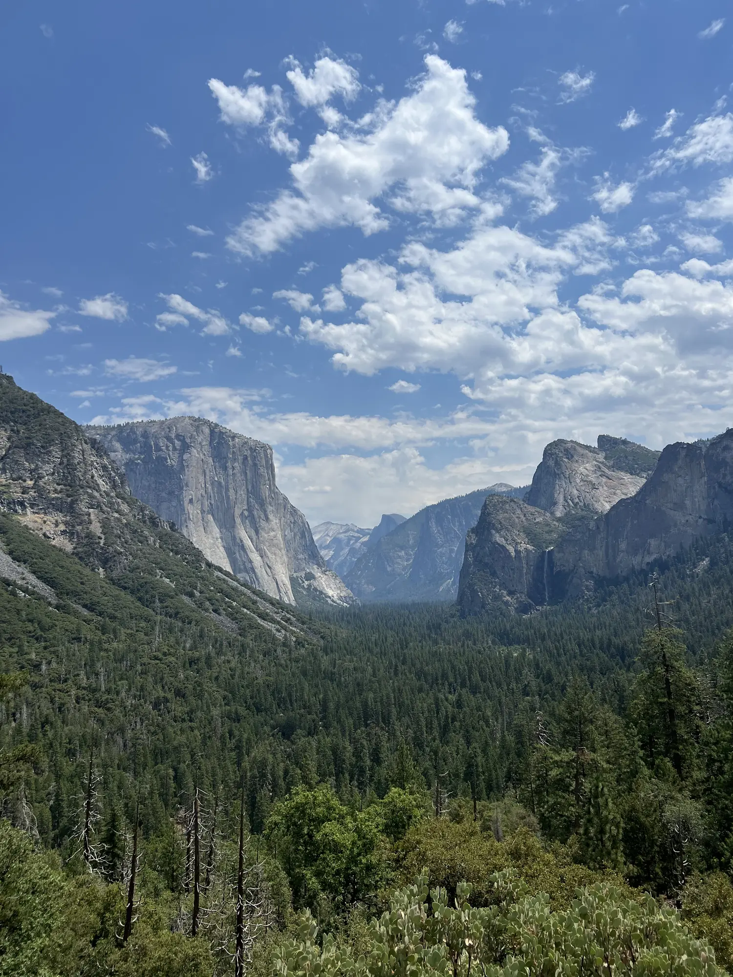 Yosemite Valley with granite cliffs and forest