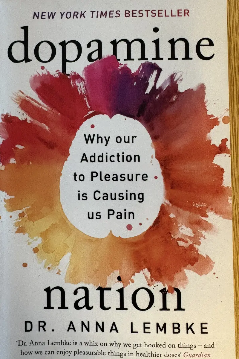 Front cover of Dopamine Nation by Anna Lembke