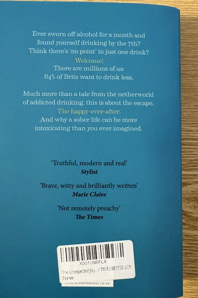 Back cover of The Unexpected Joy of Being Sober by Catherine Gray