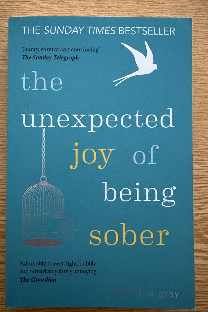 Front cover of The Unexpected Joy of Being Sober by Catherine Gray